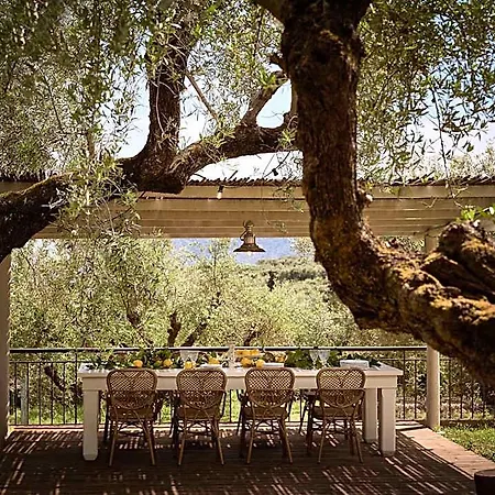 Leeda's Village Hotel 4*